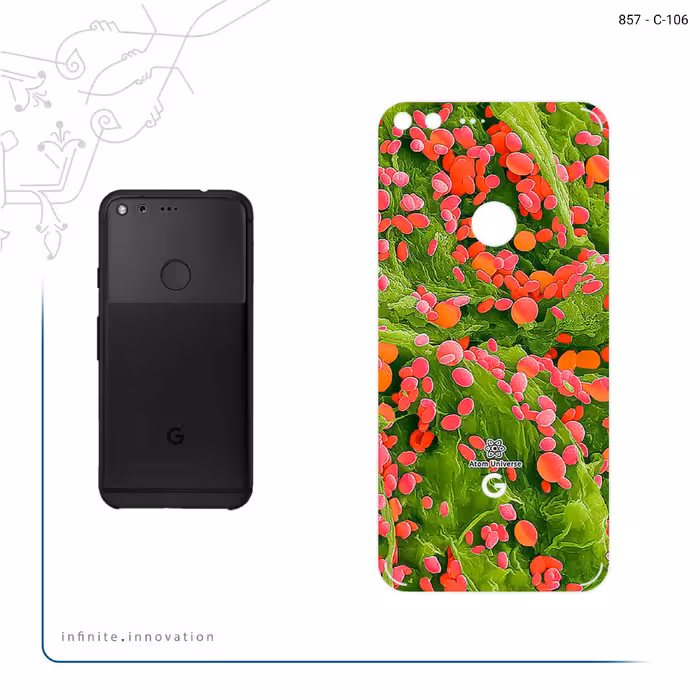 برچسب پوششی ماهوت مدل Atom Universe 3 مناسب برای گوشی موبایل گوگل Pixel