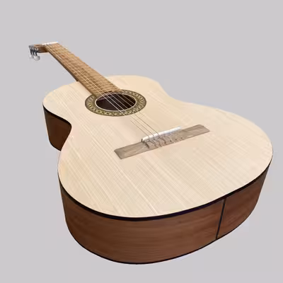 گیتار مدل C70