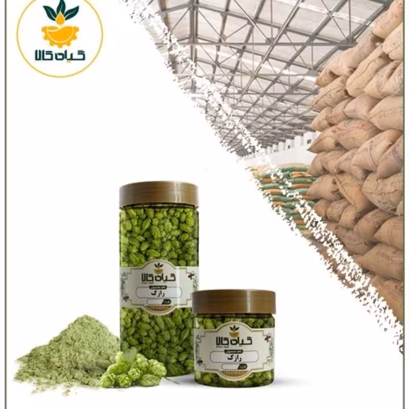 گیاه رازک با کیفیت عالی، بار امسالی و تازه(2کیلوگرم)