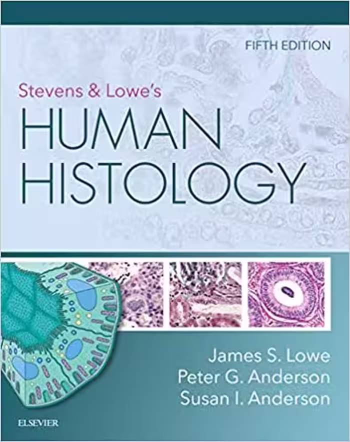 خرید و دانلود نسخه کامل کتاب Stevens &amp; Lowe's Human Histology (5th Edition) - Original PDF