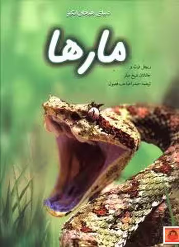 دنیای هیجان انگیز مار ها ریچل فرث نشر نوشته