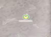 کاغذ دیواری نوجوان طرح پرآلبوم برندون (BRANDON) کد:7763
