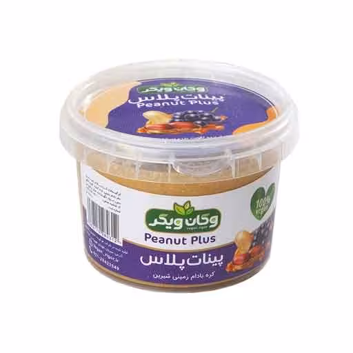 پینات پلاس 300 گرمی رژیمی وگان ویگر