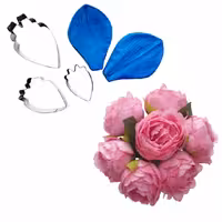 ست کاتر و وینر گل پیونی کشیده