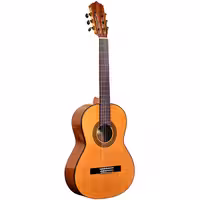 گیتار کلاسیک پالادو مدل CG 80