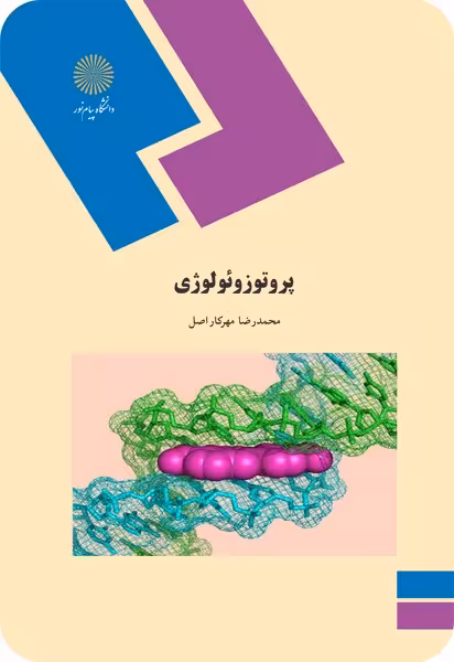 پروتوزئولوژی