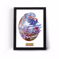 تابلو قاب سونیک Sonic
