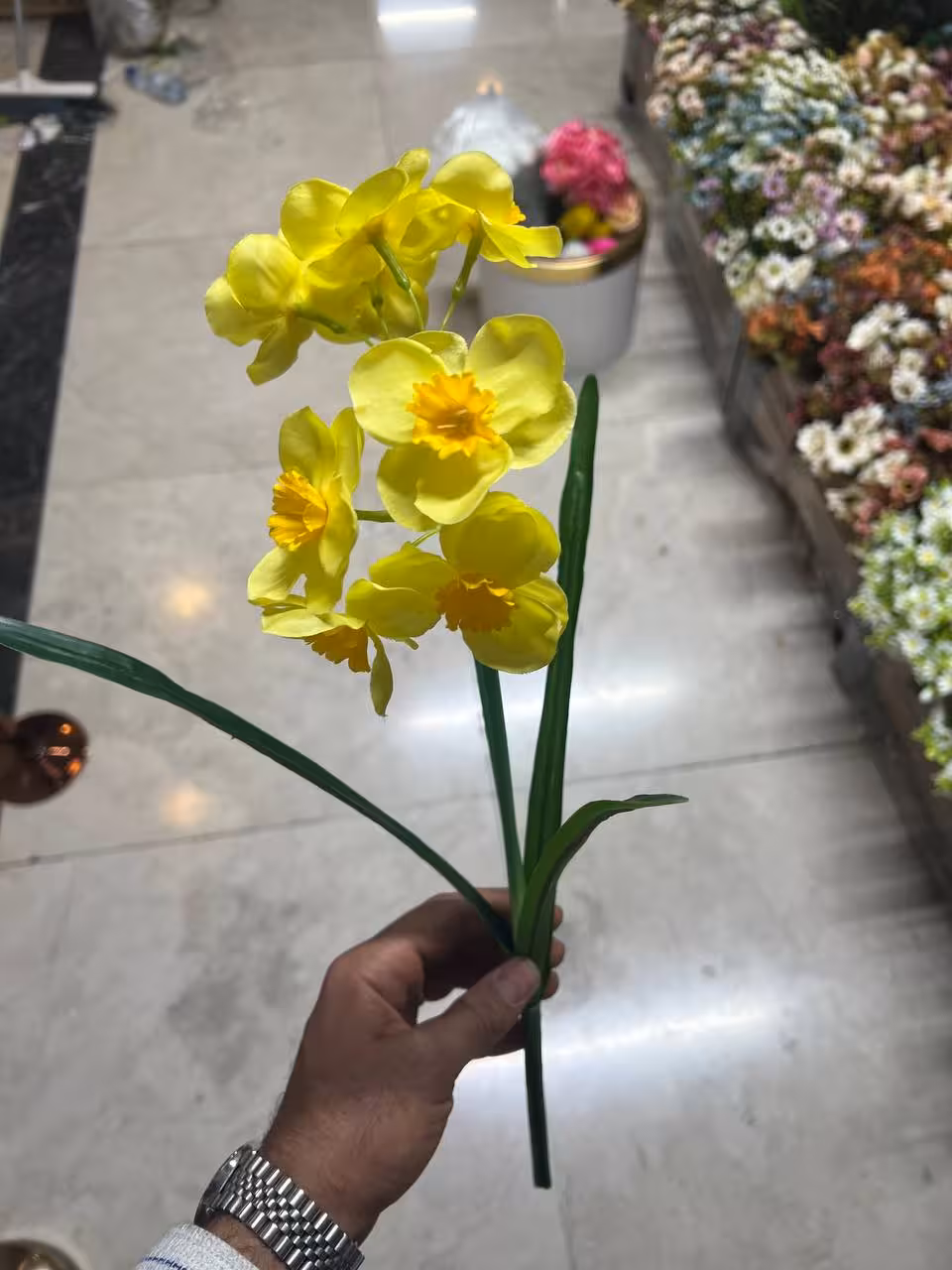 بوته نرگس زرد دو شاخه