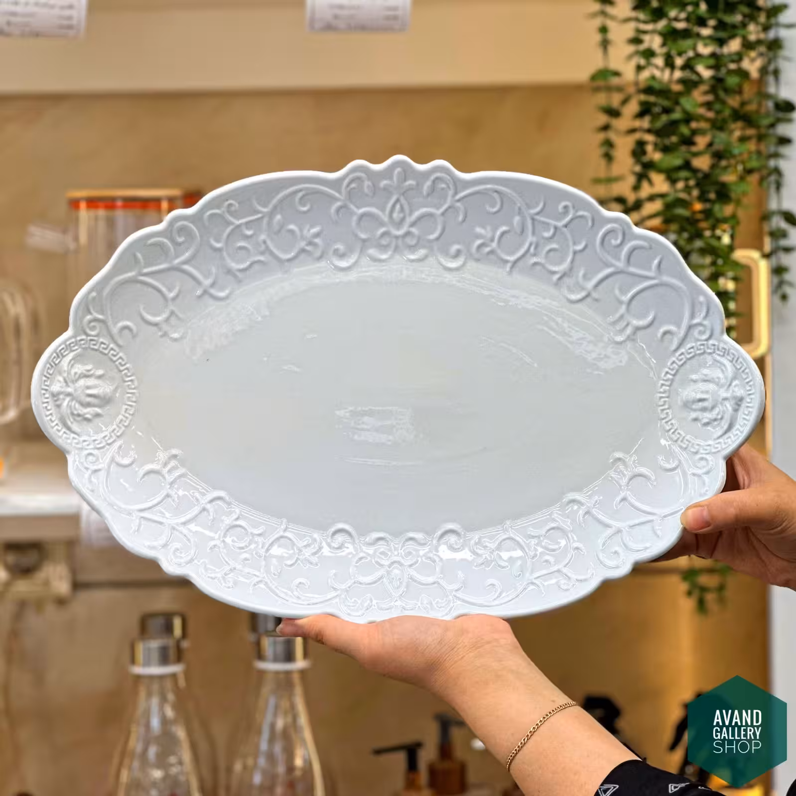 دیس و رولت بیضی ورساچه