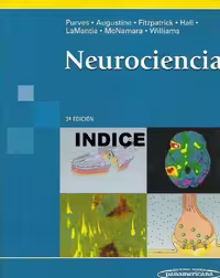 خرید و دانلود نسخه کامل کتاب Purves - Neurociencia