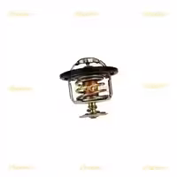 ترموستات گريت وال ولکس C30