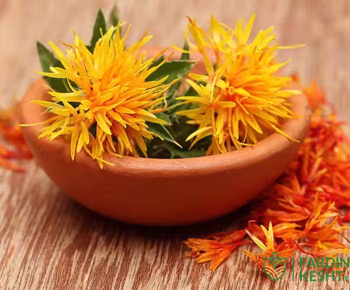 بذر گلرنگ (جایگزین زعفران) خوش عطر ایرانی بسته 30 عددی