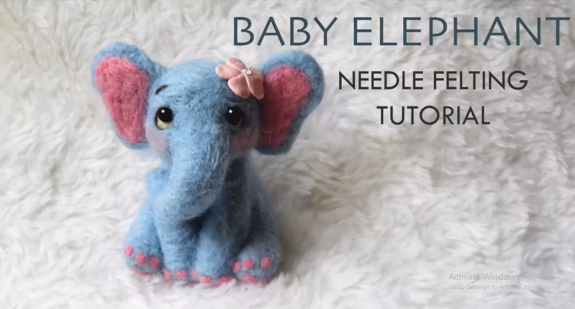 بسته آموزش کچه دوزی حیوانات