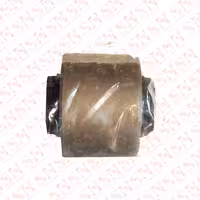 بوش بچه اکسل بزرگ ماکسیما