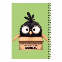 دفتر مشق 80 برگ اس جی مدل جوجه و جعبه