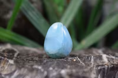 لاریمار اصلی