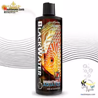 محلول بلک واتر آکواریوم برایت ول