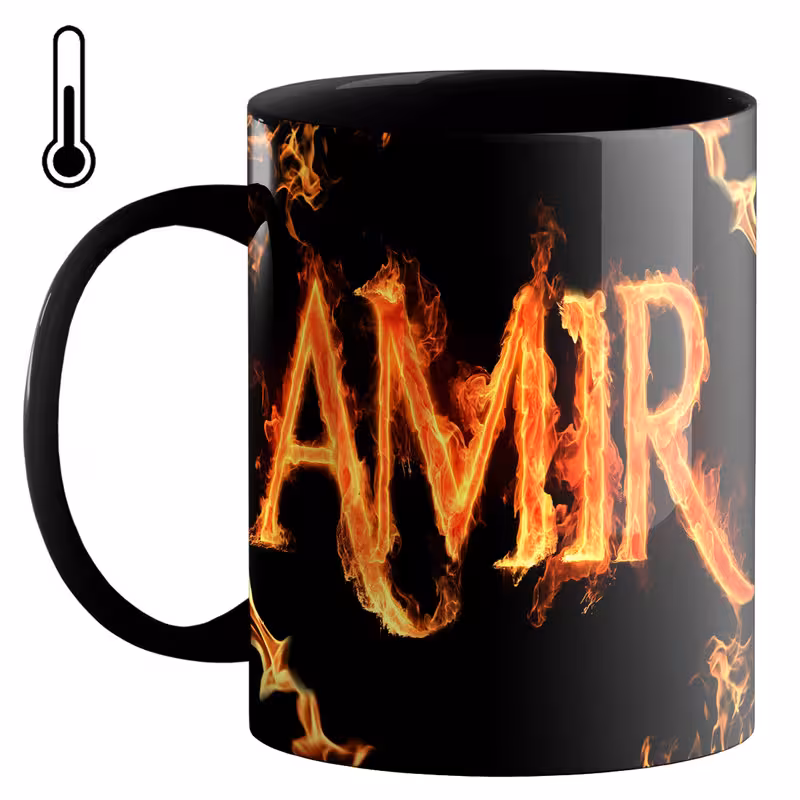 خرید ماگ-لیوان حرارتی  امیر کد s80