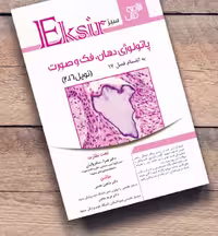 کتاب خلاصه نکات پاتولوژی دهان نویل 2016 اکسیر سبز به انضمام فصل 17