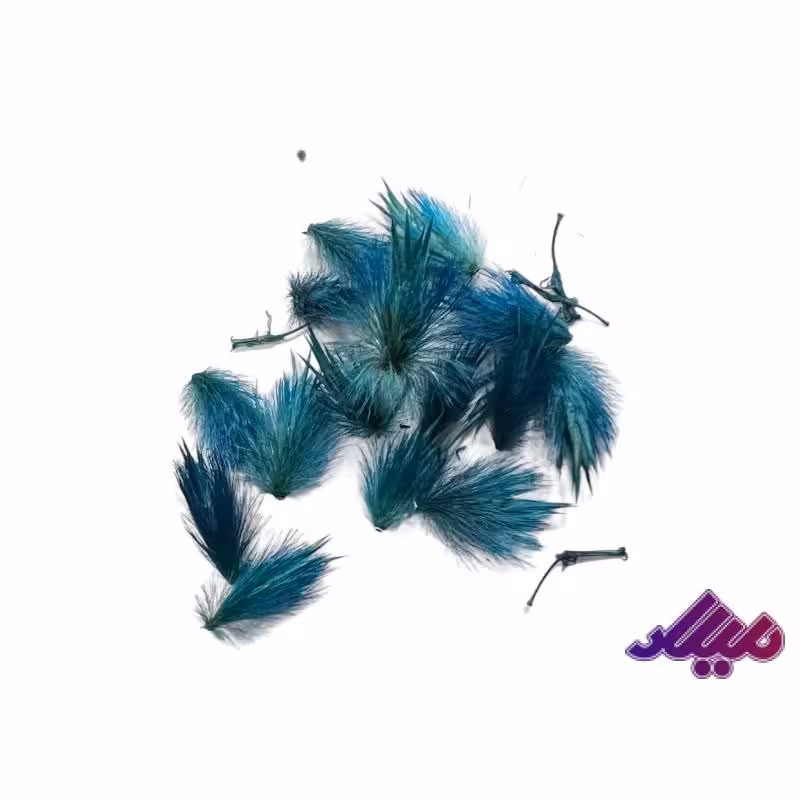 گل خشک قاصدک فیروزه ای G104