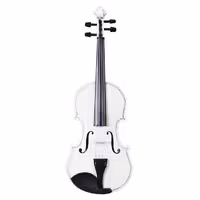 ویولن باخ مدل Whitebach White Acoustic Violin