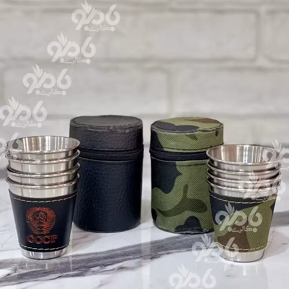 شات استیل 4عددی کیف دار