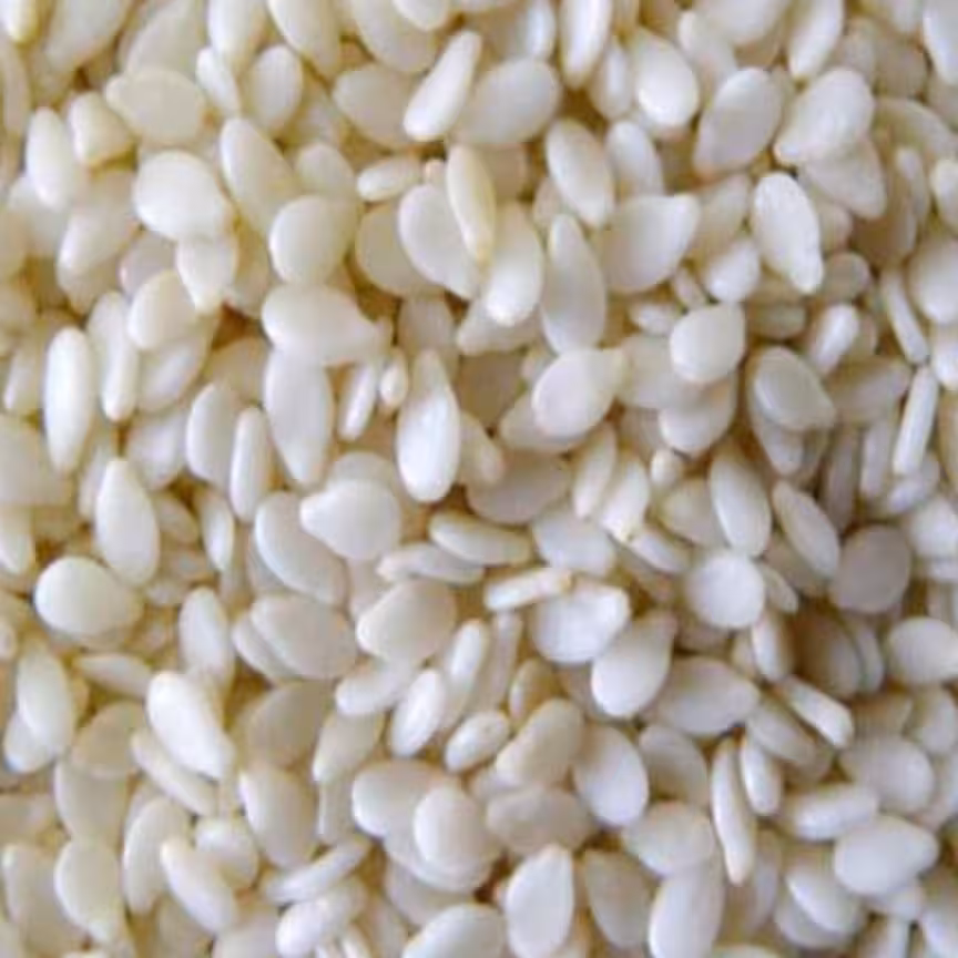 کنجد سفید تمیز 100 گرم