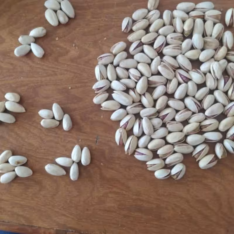 پسته سفید بادامی