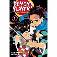 Demon Slayer - Kimetsu no Yaiba V01