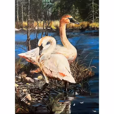 تابلو نقاشی رنگ روغن طرح قو عاشق