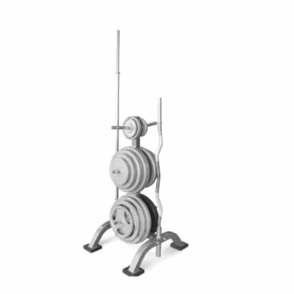 رک صفحه هالتر