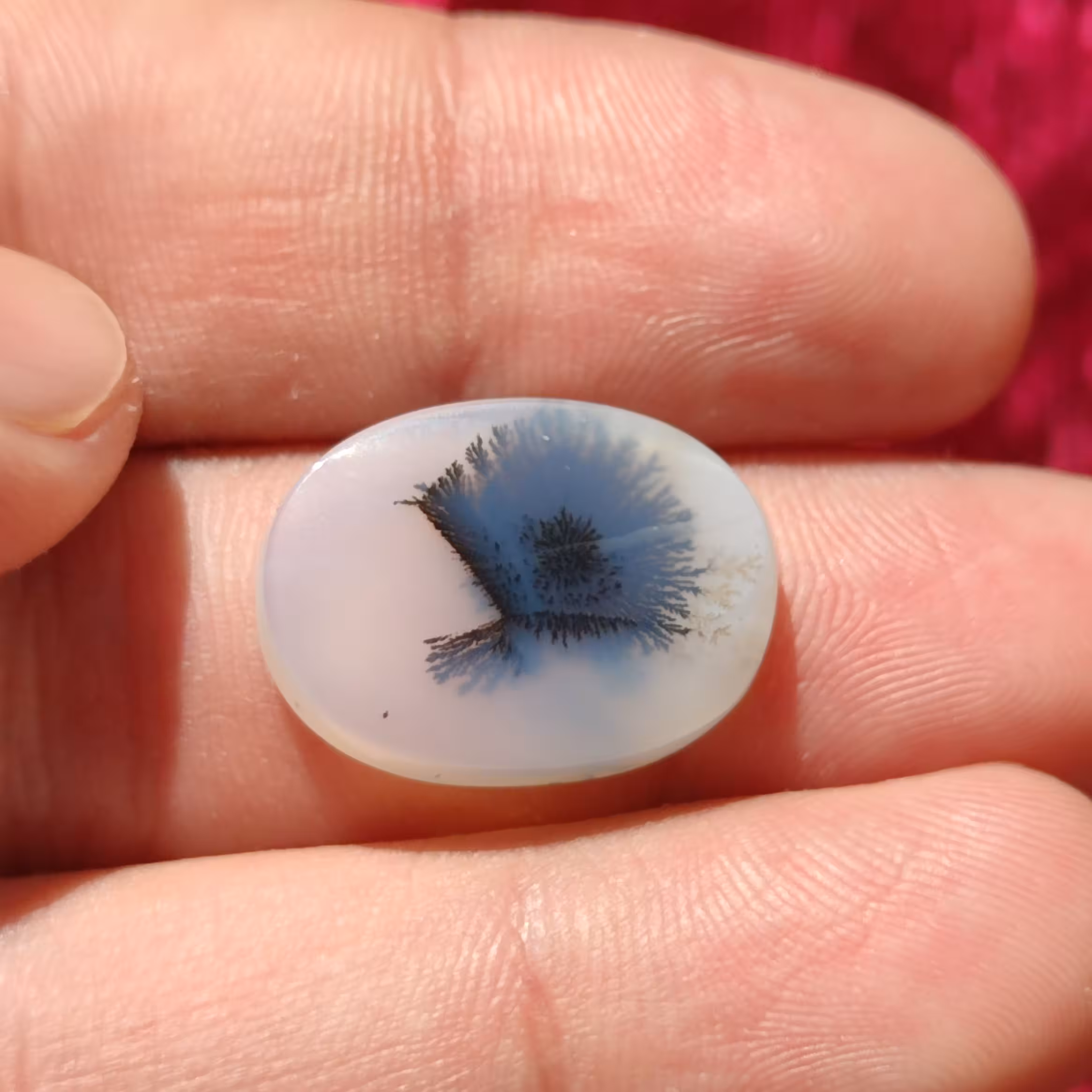 سنگ معدنی و طبیعی شجر قائن با طرحی زیبا و خاص