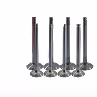 سوپاپ OHV STD قائم کد 216 مناسب برای پیکان ، روآ