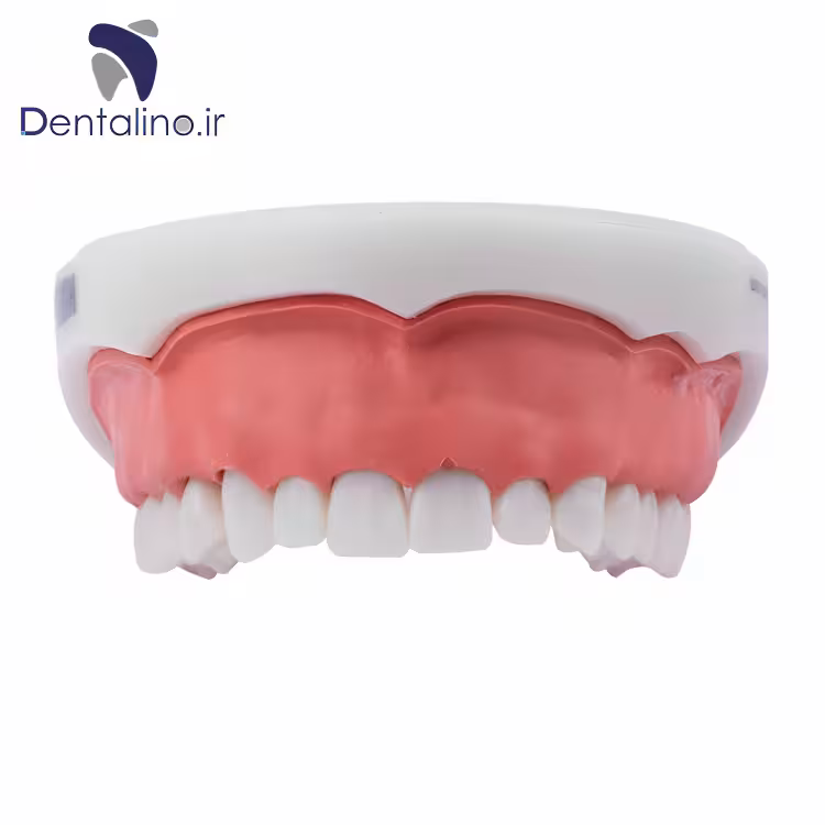 مدل افزایش طول تاج