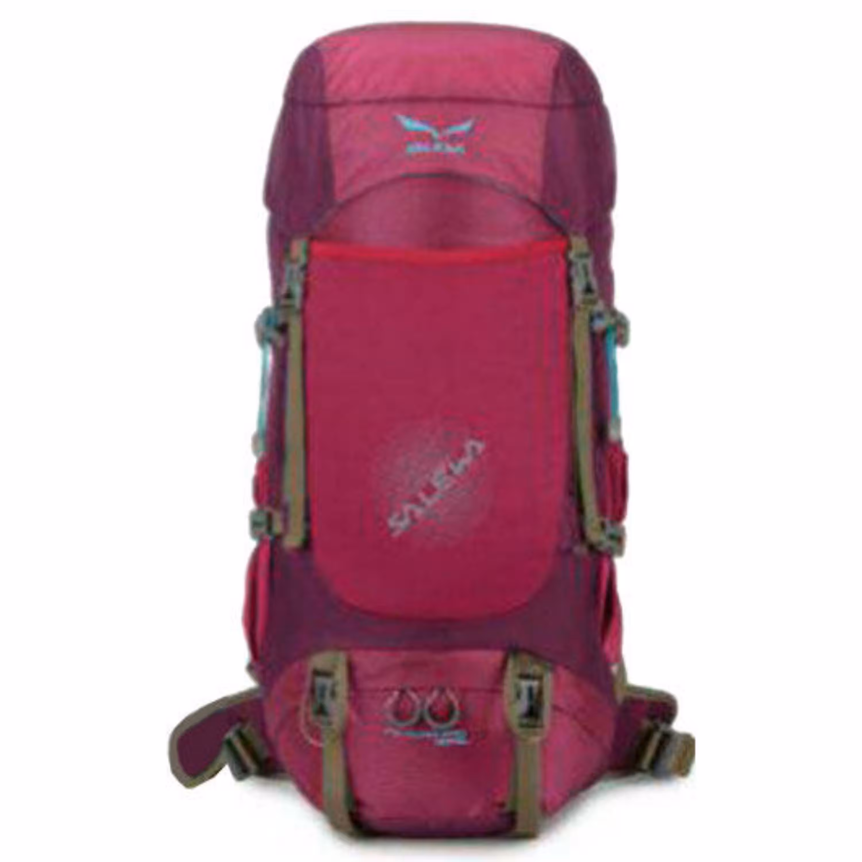 کوله پشتی سالیوا 45 لیتر