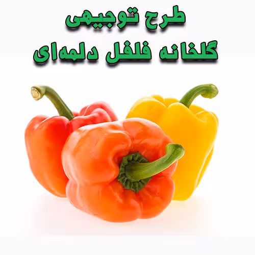 خرید و دانلود طرح توجیهی گلخانه‌ فلفل دلمه‌ای