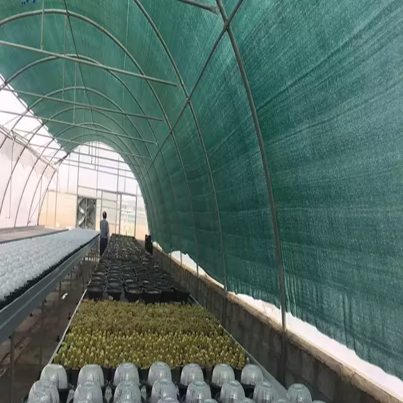 سایبان شید 80 درصد 2 در 7 متر دور دوزی شده همراه با حلقه نصب