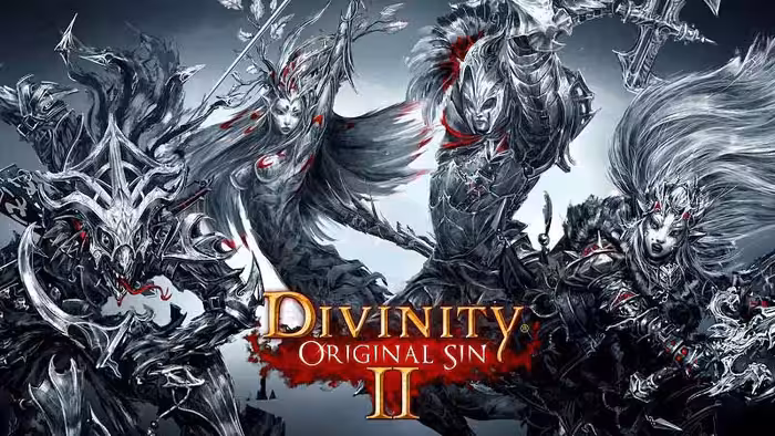 سی دی کی بازی Divinity: Original Sin 2 – Definitive Edition اورجینال