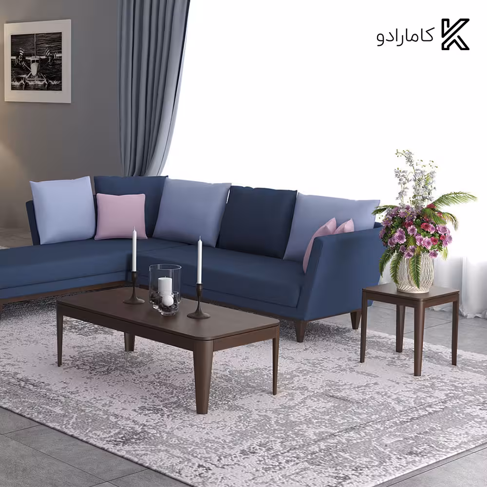 میز جلو مبلی و عسلی لادیز