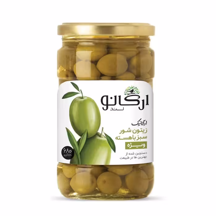 زیتون شورمشکی باهسته شیشه 470گرم ارگانو