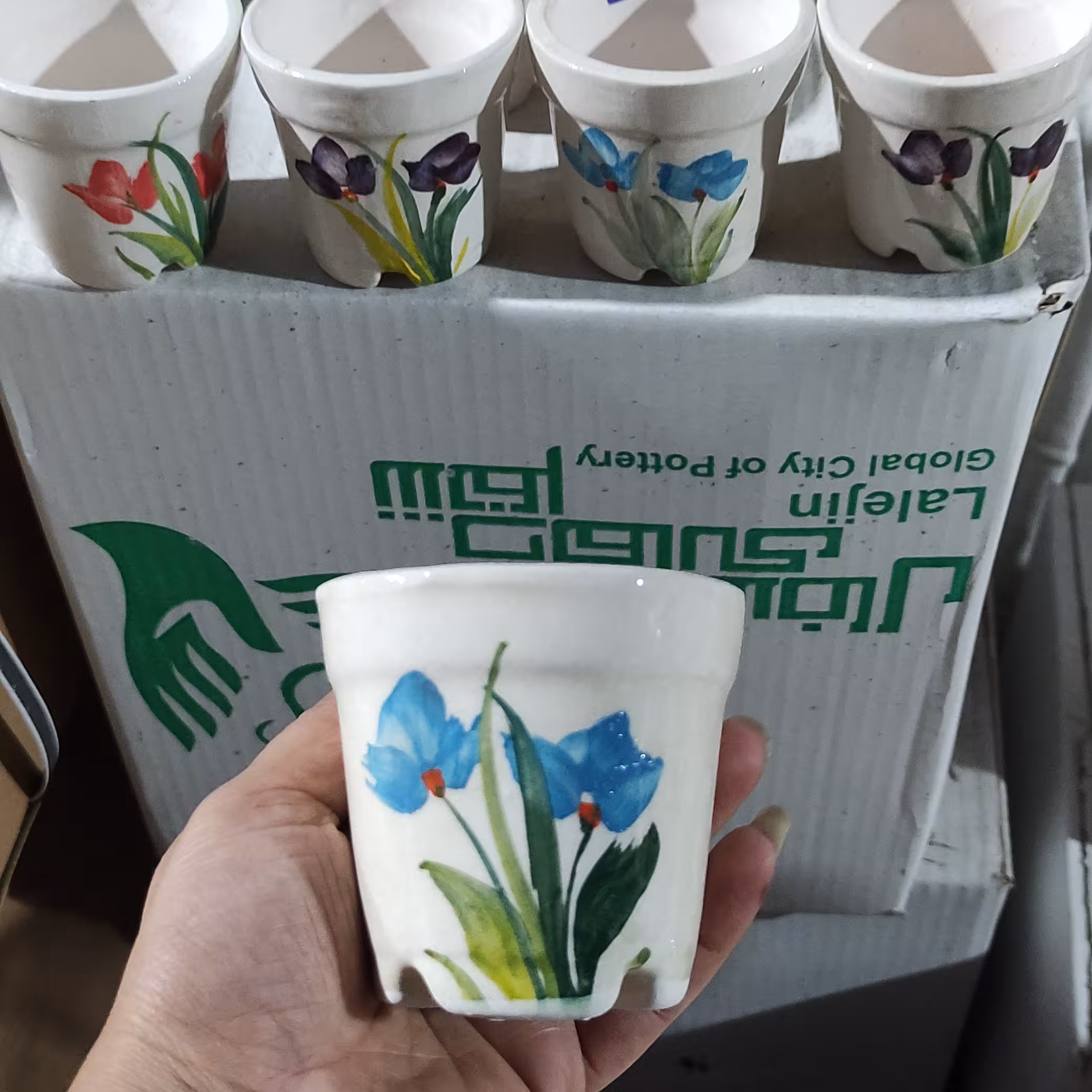 پک پنج تایی گلدان سرامیکی کاکتوسی ارسال با پست و تیپاکس