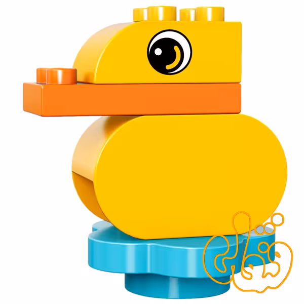 duck 30321 اردک