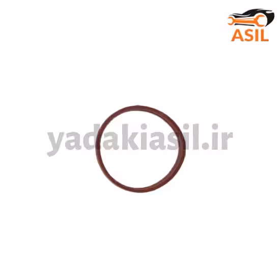 اورینگ منیفولد 206 تیپT5
