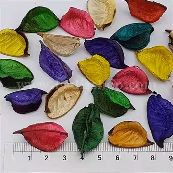 گل خشک رنگی