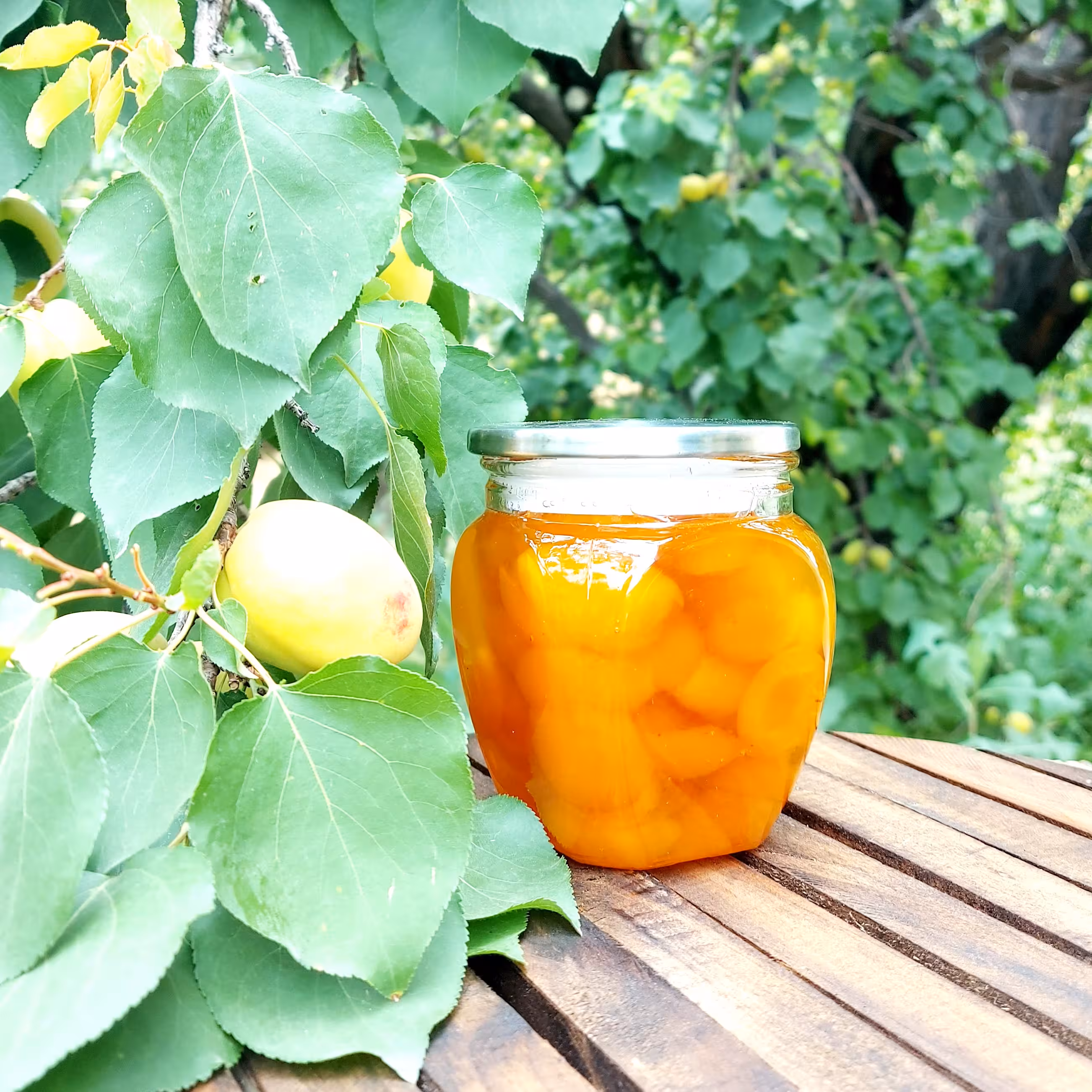 مربای زردآلو خانگی 500 گرمی