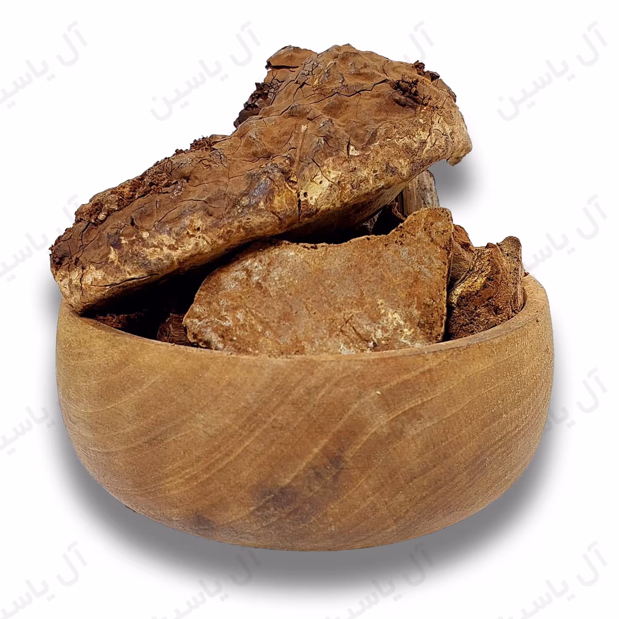 گانودرما کیلویی