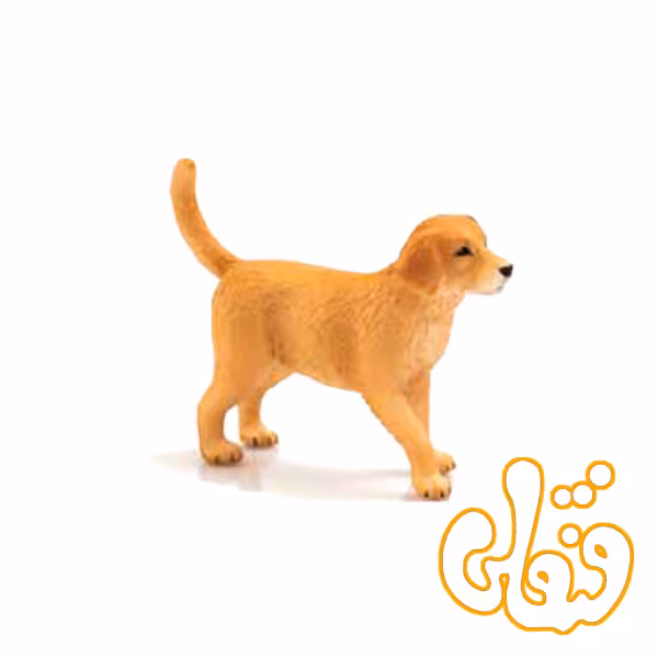 توله سگ زنده یاب طلایی Golden Retriever Puppy 387205
