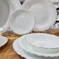 آرکوپال فله بشقاب پلو خوری لب طلا (یک دست)