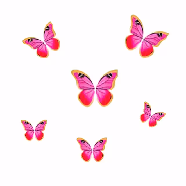 پروانه تزیینی کاغذی کد25