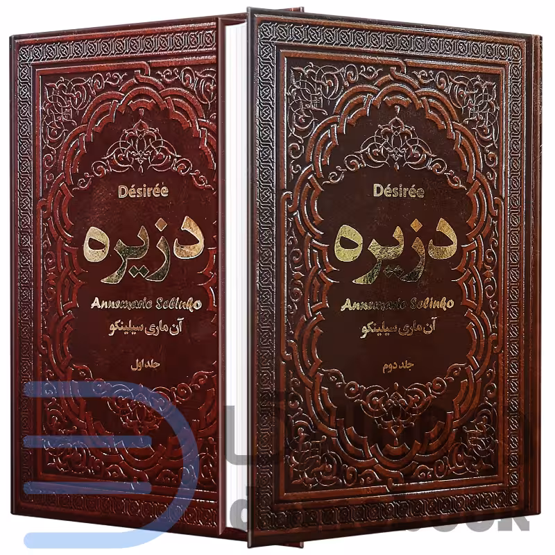 کتاب دزیره اثر آن ماری سیلنکو انتشارات یاقوت کویر 2 جلدی